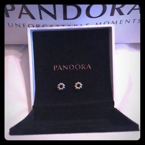 2 Authentic Pandora Ribbed Clip Charms for